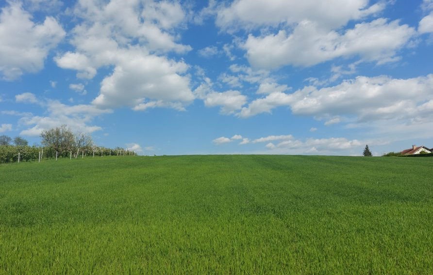 Ein grünes landwirtschaftliches Grundstück und blauer Himmel mit Wolken (Freiland)