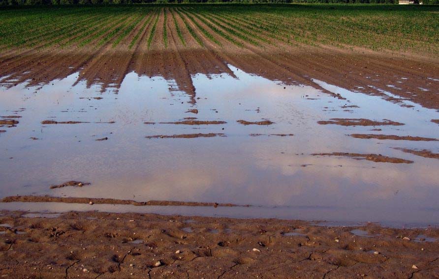 Ein überflutetes Feld nach Hochwasser (Gefahrenzone)