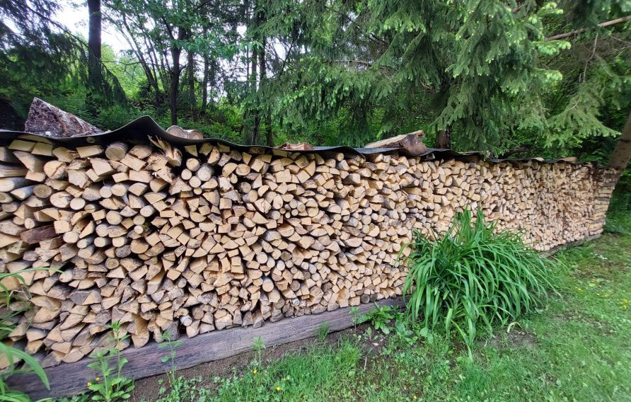 Ein Holzlager im Wald als Symbol für die Reallast