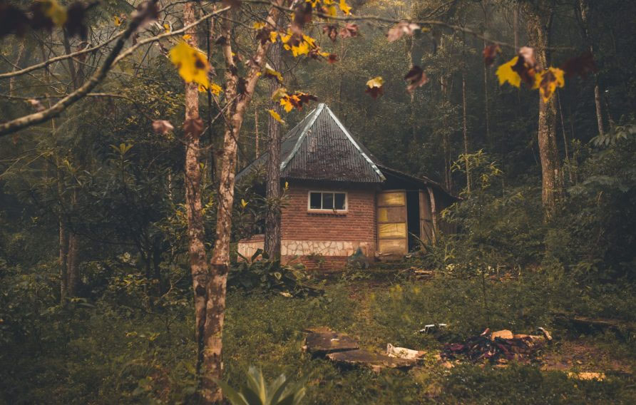 Ein Häuschen im Wald (Symbol für den Begriff Rechtmäßiger Bestand)